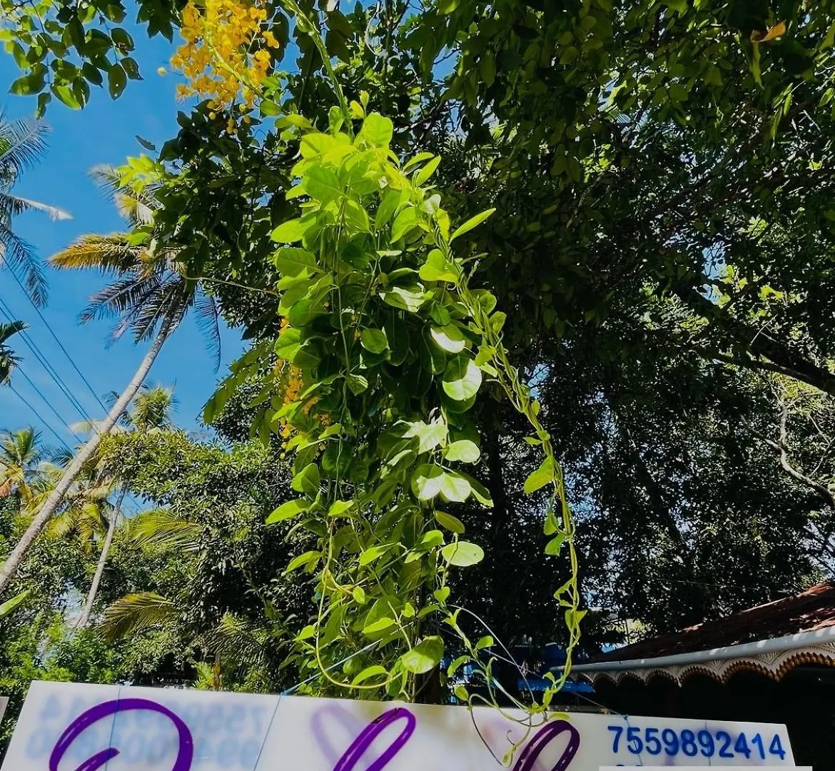 Orchid Home Stay Cherai Beach
